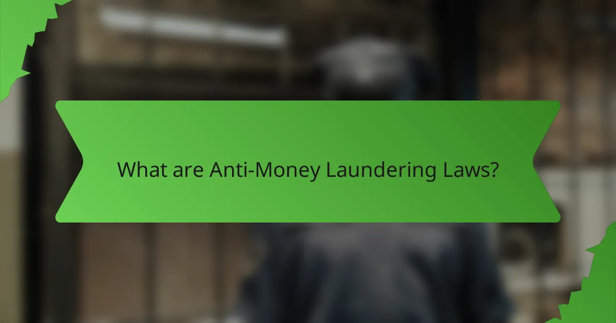 What are Anti-Money Laundering Laws?