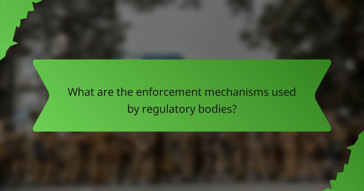 What are the enforcement mechanisms used by regulatory bodies?