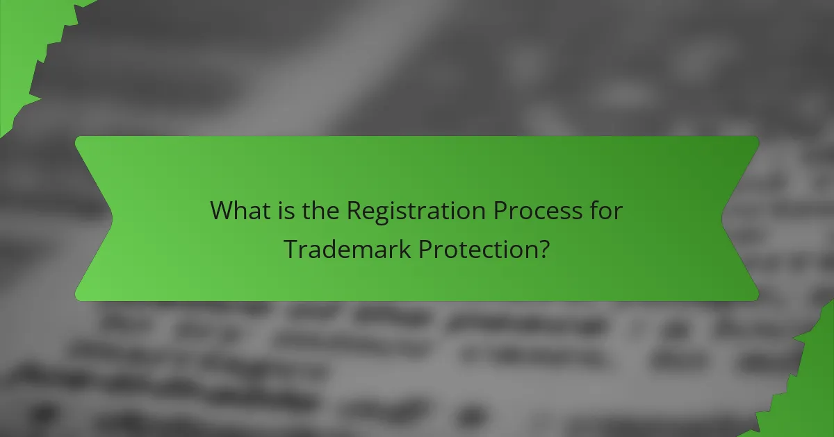 What is the Registration Process for Trademark Protection?